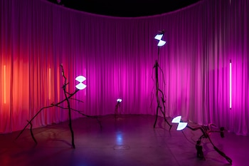 Museo Moderno inaugura las exposiciones “Bosques Umbral”
