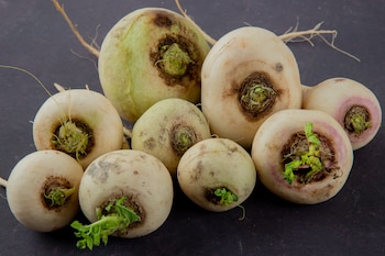 Son especialmente beneficiosas a partir de los 60 años