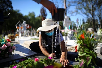 La dependencia solo estima 15,483