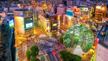 Tokio, en Japón (Montaje: Infobae