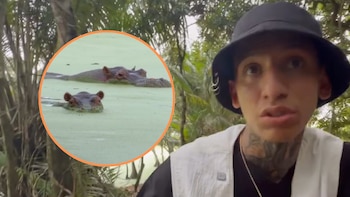 La Liendra se expuso al peligro al grabar a una manada de hipopótamos para su documental: estuvo a pocos metros de los animales
