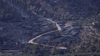 La Guardia Civil detiene al presunto autor del incendio forestal de Tuéjar