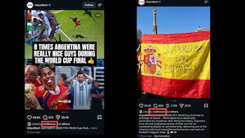 El posteo que Niall Horan le dio "me gusta" luego de la final de la Copa del Mundo (Instagram)
