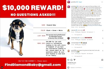 Diamond Baby, uno de los