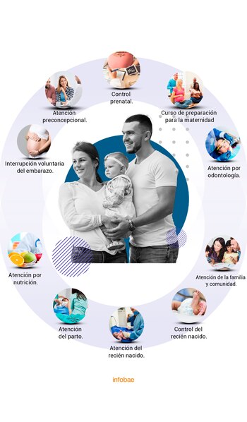 Ruta materno perinatal