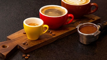 Cuáles son las peores marcas