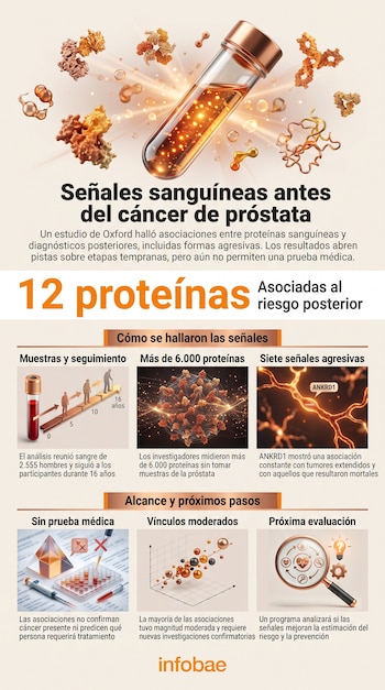 Infografía con un tubo de ensayo, modelos moleculares tridimensionales, diagramas explicativos, gráficos de datos y bloques de texto en español.