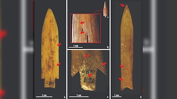 El estudio destaca la flexibilidad