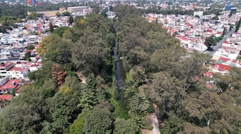 La presencia de árboles y