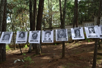 Diez carteles blancos con fotografías de rostros en blanco y negro cuelgan de una cuerda entre troncos de árboles en un bosque de pinos