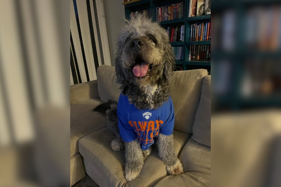 Jeremiah Garcia afirmó que su madre celebraba la victoria de los Knicks y sostuvo que Jameson era enérgico y juguetón, pero no violento (Instagram: @kellsbells2704).
