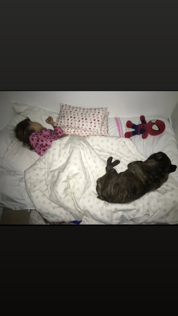 El posteo de la China Suárez también mostró escenas cotidianas de Rufina, como una imagen dormida con un perro y un muñeco