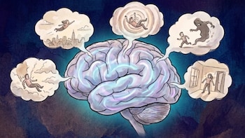 Cuáles son los 12 sueños más frecuentes y qué revelan sobre las emociones, según la neurociencia