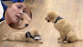 Nuevos integrantes llegaron a ‘La