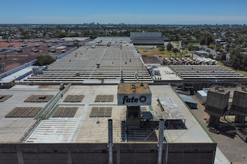 El argumento central plantea que