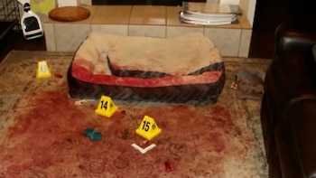 Los servicios de emergencia tardaron