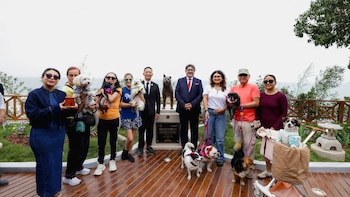 ¿Dónde queda la estatua de Hachiko en Miraflores? Este es el parque en el que encontrarás a la emblemática y fiel mascota