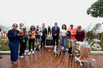 Grupo de once personas con nueve perros posa frente a una estatua de bronce de Hachiko sobre un pedestal en el Parque Shibuya, con el mar y vegetación al fondo