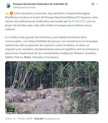 La presencia de jaguares es