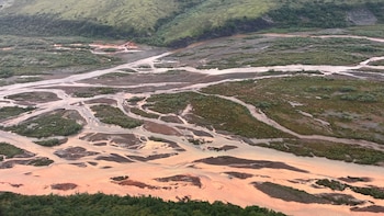Por qué los ríos del Ártico tienen el agua naranja: investigan el impacto en ecosistemas