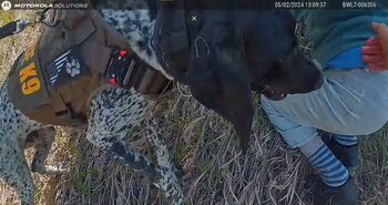 El binomio canino encontró a