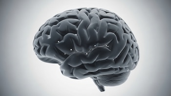 Por qué la mente en