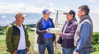 Productores de la zona norte