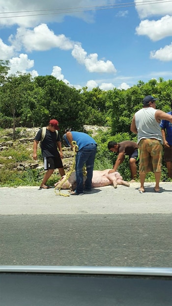 El accidente se dio en