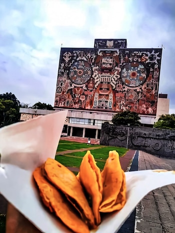 En la actualidad, siguen siendo una opción popular y querida por los mexicanos de todas las edades. (@RockCervezaPuma)