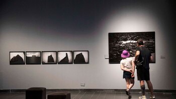 La muestra está construida con