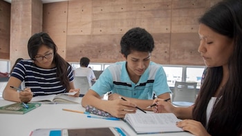 Los tutores contratados podrán impartir