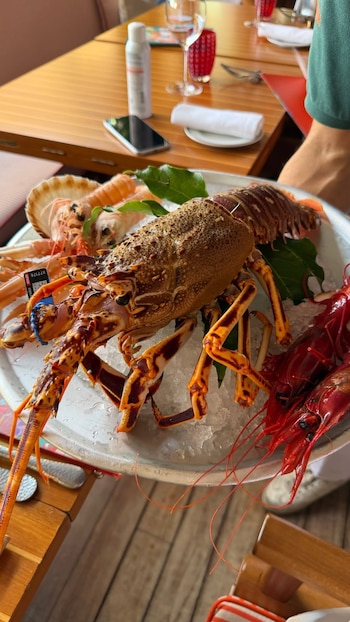 Plato de mariscos con langosta, gambas rojas, cigalas y hojas verdes sobre hielo. Mesa de madera con celular, vaso y servilleta
