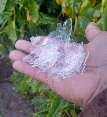 El Salvador registró cifras sin