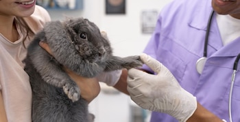 Día Internacional del Animal de Laboratorio - Animal de Laboratorio – Perú – noticias – 23 abril