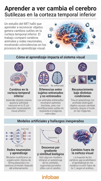 Infografía sobre aprendizaje visual con cerebro humano, iconos de formas, diagramas de redes neuronales, gráficos y textos explicativos del estudio del MIT.