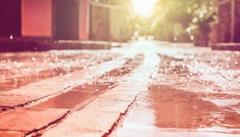 Temperatura, probabilidad de lluvia, nubosidad