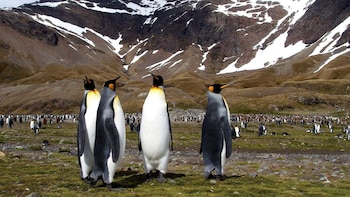 Entre ríos trenzados y picos