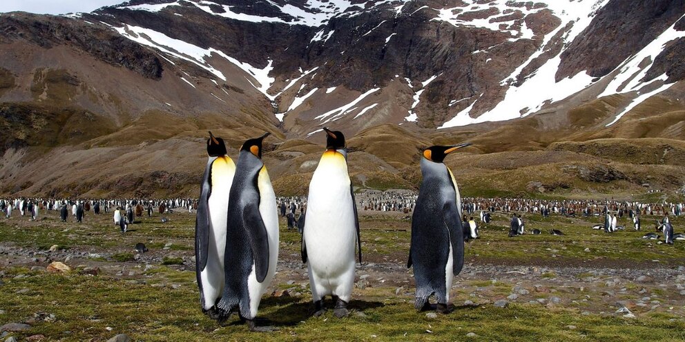 EHKCNC3PJZEWNDX2DPRJPRLI6U