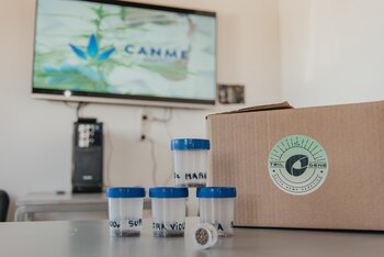 Desde un banco de semillas