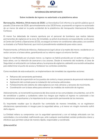 La Aeronáutica Civil confirmó que