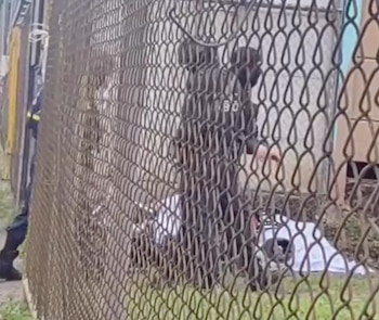 Cartago concentró cuatro de las muertes violentas contabilizadas durante el fin de semana, tres de ellas ocurridas únicamente durante el domingo. (cortesía)