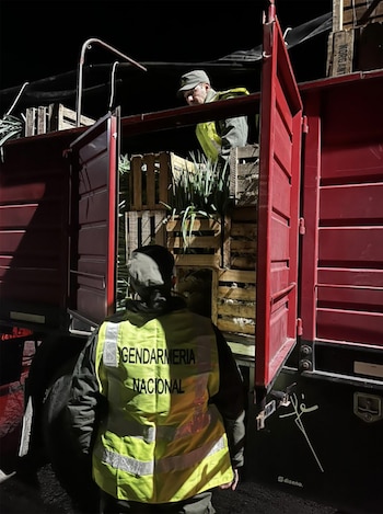 Dos hombres, uno con chaleco reflectante de Gendarmería Nacional, inspeccionan la carga de un camión rojo lleno de cajones de madera con verduras verdes
