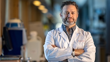 proteínas y enfermedad de Alzheimer