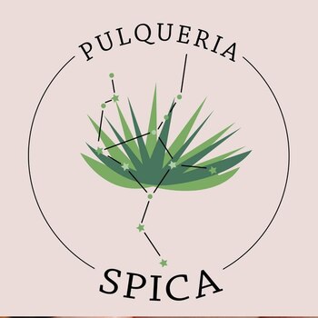 (Foto: Pulquería Spica/FB)