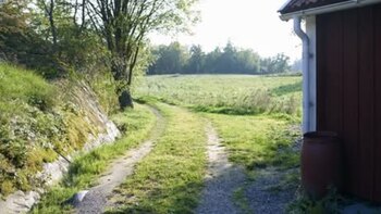 “Vivo completamente solo en un