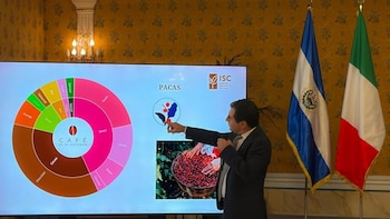 La degustación de productos emblemáticos y la presentación de iniciativas en turismo y logística buscan atraer capital e incrementar la presencia de empresas italianas en la economía salvadoreña, según informaron fuentes diplomáticas (Foto cortesía Ministerio de Relaciones Exteriores)