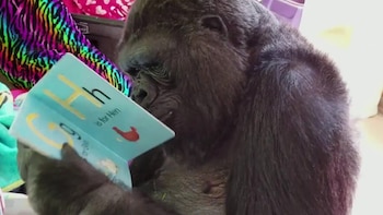 Desde temprana edad fue parte