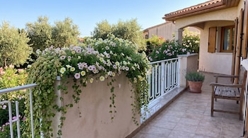 Terraza con suelo de baldosas, banco de madera, flores amarillas y rosadas en la barandilla y árboles al fondo.