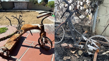 El testimonio de Camila Zavala