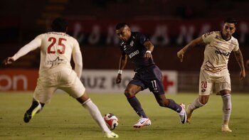 Jhamir' D Arrigo es del